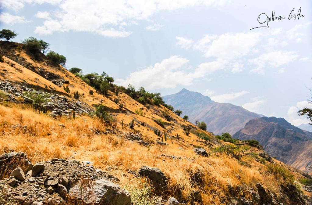 Cerro Amarillo